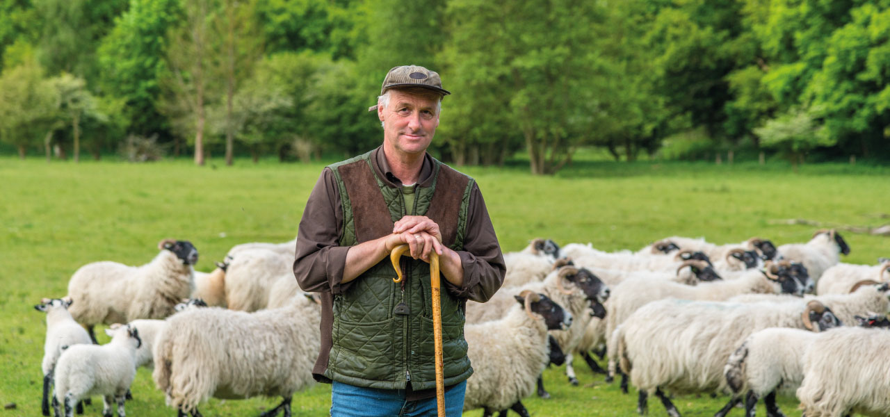 Farming and food