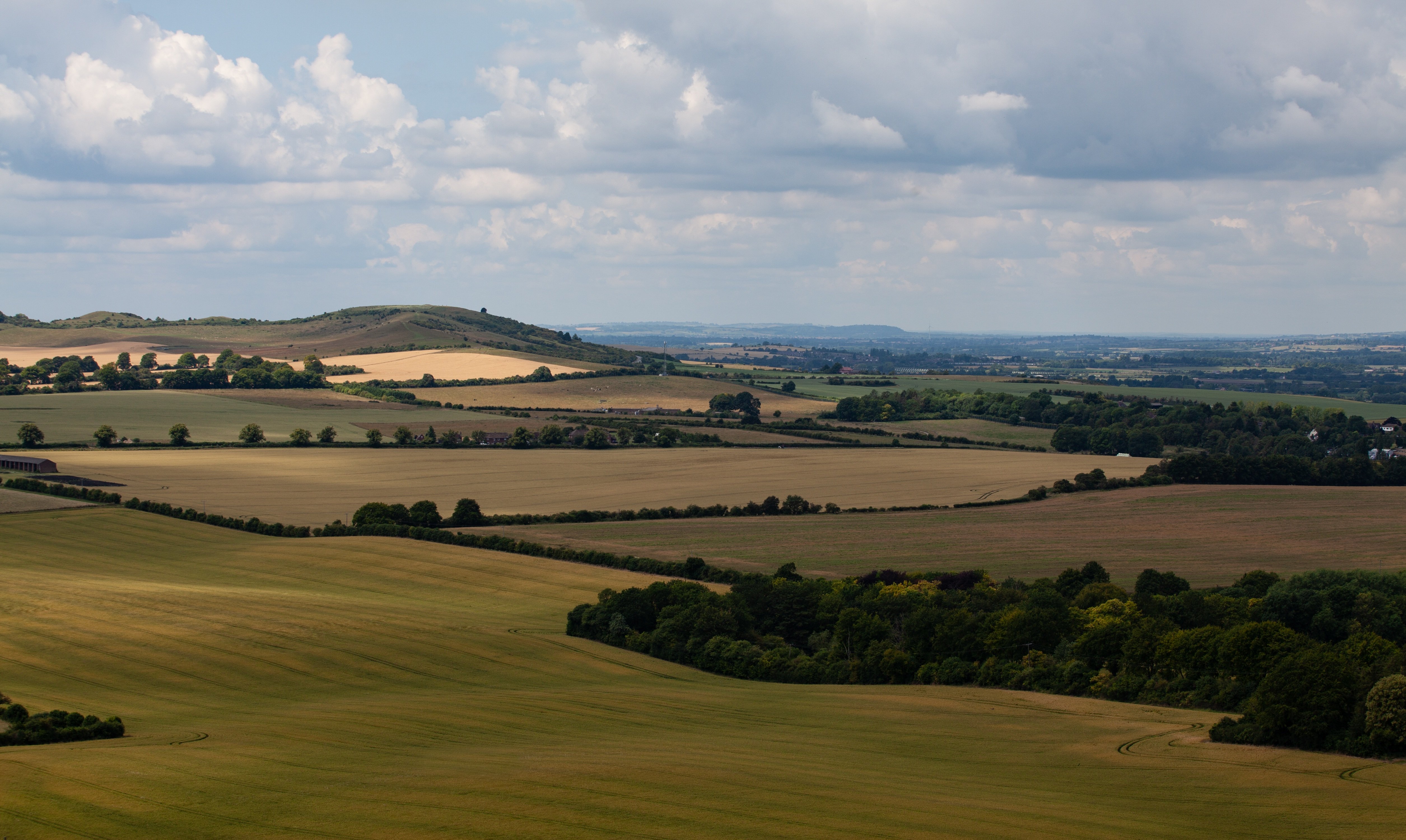 Vision for Buckinghamshire